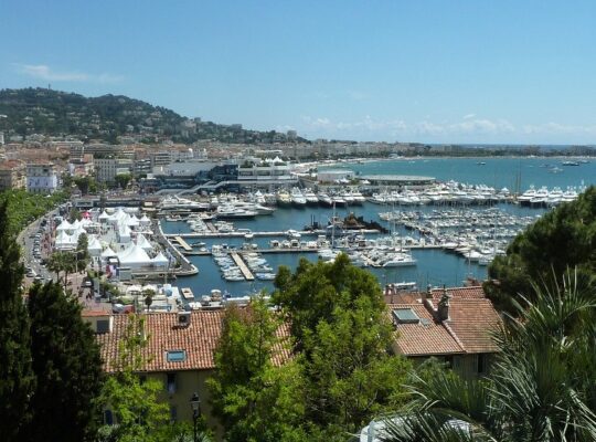 cannes guide |