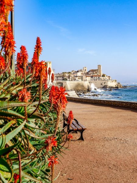 Les spots incontournables en vacances a%CC%80 Antibes2 |